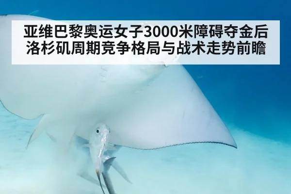 亚维巴黎奥运女子3000米障碍夺金后洛杉矶周期竞争格局与战术走势前瞻